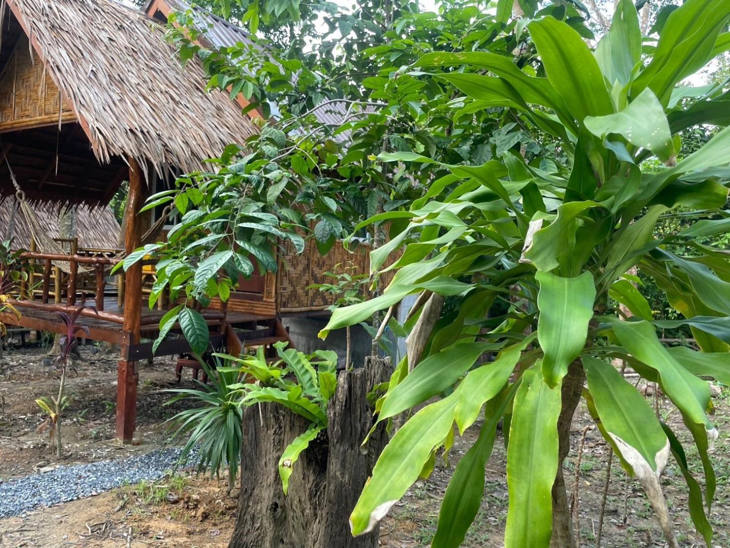 Dahla Lanta Hut Lägenhet Ko Lanta Exteriör bild